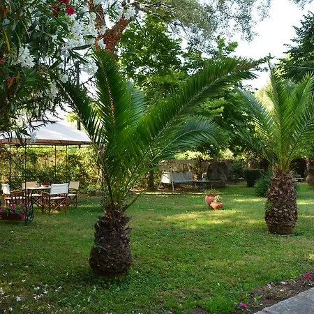 Marina's House Apartment Platamonas